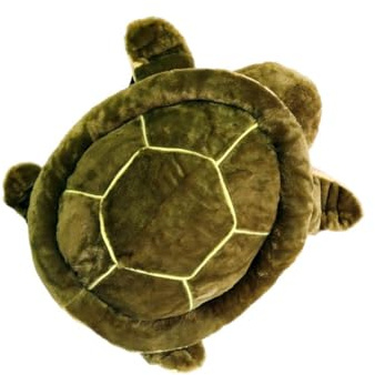 KIOALXZ Ski Hüftprotektor mit niedlichem Schildkrötenmotiv, gepolsterte Schutzausrüstung für Kinder, Erwachsene und Jugendliche, Outdoor Aktivitäten usw, Grün, L 65cm