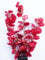 Aquarium Plants (Silk) Red Lily Fish Tank Decoration (40cm Tall)