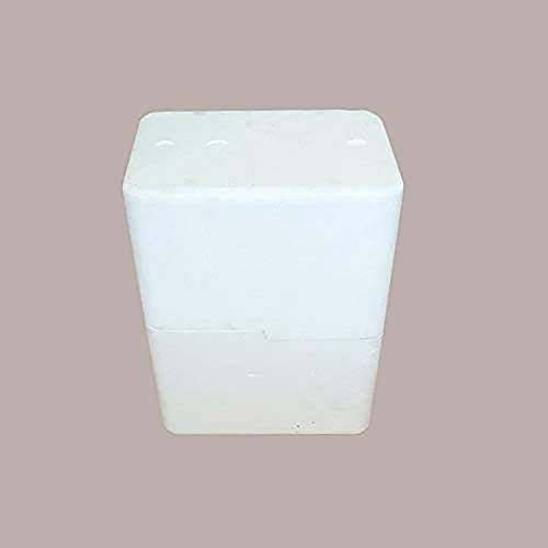 Lucgel Scatola Cassa Termica in Polistirolo per 6 Bottiglie Vino o Olio - Spedizione sicura -