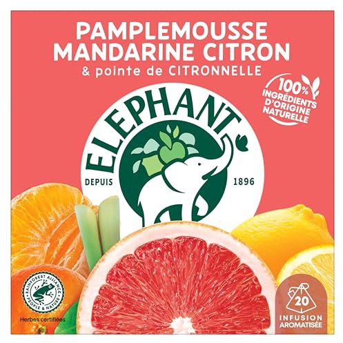 Elephant, Infusion Aromatisée, Goût Pamplemousse, Mandarine & Citron, Certifié Rainforest Alliance, Ingrédients d'Origine 100% Naturelle, 20 Sachets Pyramid