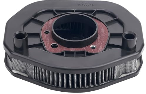 Road Passion Filtri Aria 29400015 Compatibile con Harley XL1200 XL1200C Sportster 1200 Custom 2014-2016/ XL1200 XL1200CB Custom Limited B 2017/ XL1200 XL1200X Forty-Eight Anniversary 2018