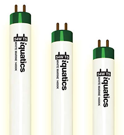 iQuatics Juwel Compatible Aquarium Fluorescent Light Bulb T5 (3 Pack), White 14000k, 54w 1047mm 42