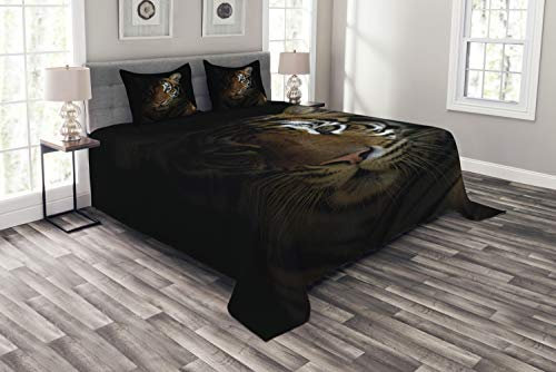 ABAKUHAUS Tiger Tagesdecke Set, König von Sundarbans, Set mit Kissenbezügen Waschbar, für Doppelbetten 264 x 220 cm, Schwarz Orange