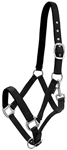 York Pferde Halfter Milo Nylonhalfter weiche Polsterung Stallhalfter Weidehalfter Reithalfter (Cob, schwarz)