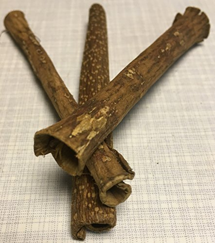 3 Nano (1cm Ø x 12cm) Catappa Barks Cave/Tube - Seemandelbaumrinde Höhle Röhre