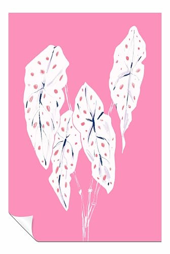 Panther Print Begonia Maculata Pink Unframed Poster, Pictures for Home Walls, Bedroom, Living Room & Bathroom Decor 76x51cm (30x20in)