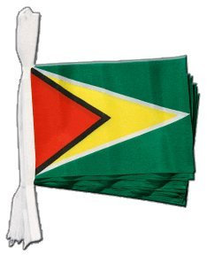 Digni Guirlande drapeau Guyane - 5,9 m