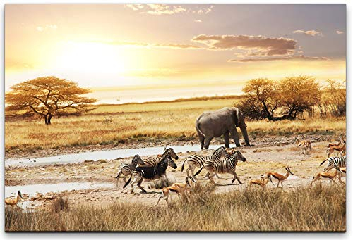 Paul Sinus Art Landschaft Afrika Wandbild in verschiedenen Größen Wähle Deine Größe 40x60cm