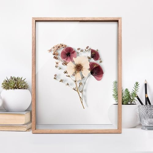 micasia Doppelglasrahmen ohne Rückwand Bilderrahmen Leerrahmen Eiche mit Glas - Made in Germany - Rahmen für gepresste Blumen Fotorahmen handgefertigt DIY Wohnzimmer Schlafzimmer Küche (50x70cm)