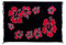 Ciffre Sarong Pareo Wickelrock Strandtuch Tuch Wickeltuch Handtuch + Schnalle Blume Schwarz Rot