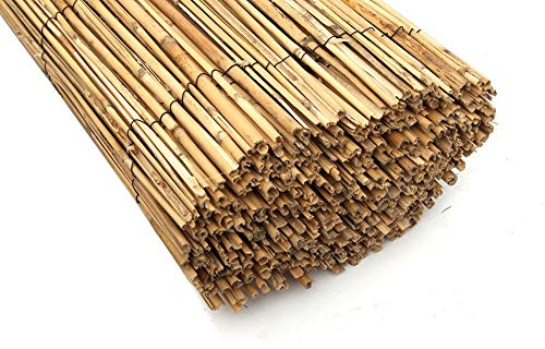 Gardeneas - Canisse naturelle en bambou jusqu'à 2 x 5 m