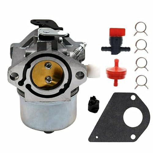 RAGDAA Vergaser für Briggs & Stratton 699831 6949 41 499158 Rasentraktor Rasenmäher Vergaser