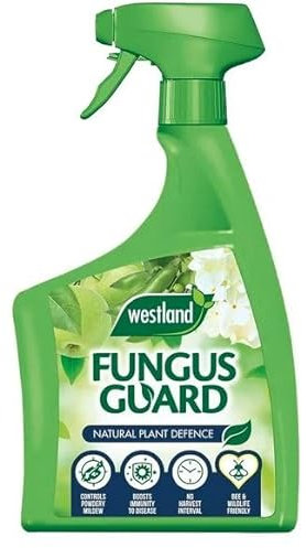 800ml Fungus Stop Spray - Gardening Solution for Powdery Mildew, Fruit Scab, Rust, and Leaf Spot Control