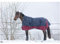 Equi-Theme Winterdecke Highneck 300g Füllung TYREX 1200D EQUITHÈME Marineblau/Bordeauxrot 135cm