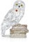 Swarovski Harry Potter Hedwig, Detailverliebte Schneeeule aus dem Harry-Potter-Universum in Brillantem Kristall