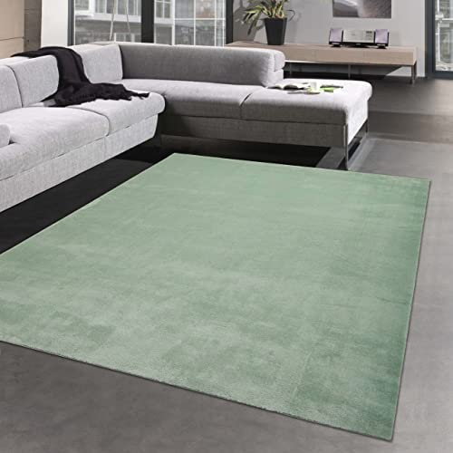 CARPETIA Wohnzimmer Shaggy Teppich mit weichem Hochflor in grün Größe 240 x 340 cm