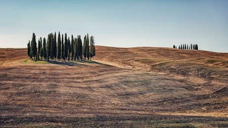 adrium Acryl-Bild 50 x 30 cm: Landschaft im Val D Orcia, Toskana, Italien (169608961)