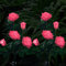 Solarleuchten Garten, ZQX Solar Blumenleuchten Außen Wasserdicht Solarlampe mit Größerer Rose Blume und Breiter Solarpanel für Garten, Weg, Party, Dekoration - 5 Blumen pro Zweig, Rosa, 2 Stück