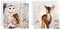 Hallmark Weihnachtskarten für Wohltätigkeitsorganisationen, traditionelle Wildtier-Designs, 16 Stück, Tier-Weihnachtskarten-Set