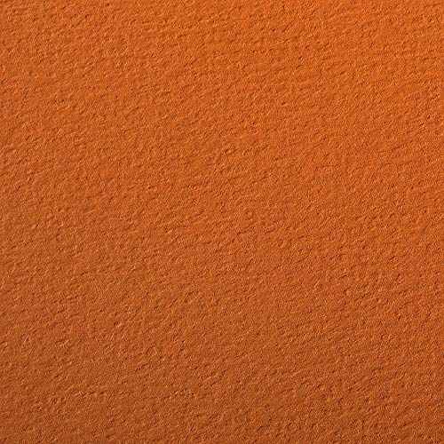 Clairefontaine 93873C Packung (mit 25 Bögen Zeichenpapier Etival Color, DIN A4, 21 x 29,7 cm, 160g, gekörnt, ideal für Trockentechnik und Einrahmen) orange