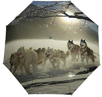 FANTAZIO Fantasio 3-Fach Faltbarer Regenschirm für Winterhunde mit automatischer Öffnung, leicht