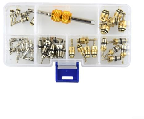 Marchfunny Kit de 50 pièces de noyau de valve pour systèmes de climatisation automobile compatibles avec R12 R134a avec outil de démontage