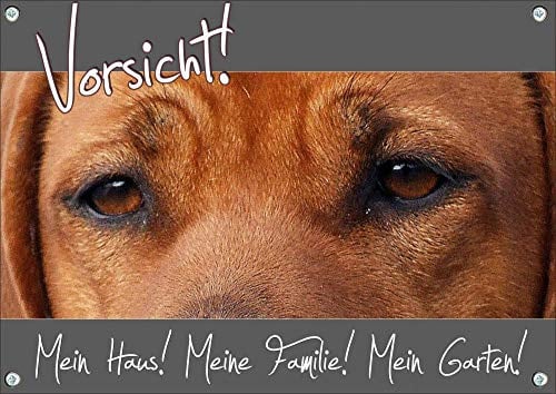 Petsigns Hundeschild - Rhodesian Ridgeback - Vorsicht! - haltbares Metallschild, DIN A5