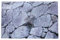 Cikonielf Aquarium Hintergrund Selbstklebend Terrarium Rückwand 3D Hintergrund Deko Aquarium Hintergrund Poster quarium Wandaufkleber(61 * 41cm)