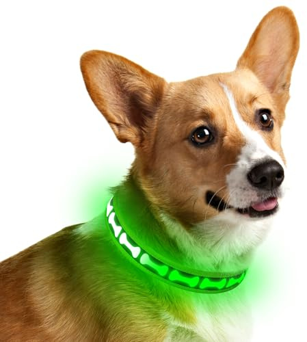 YIAZIM Leuchthalsband Hund Aufladbar, LED Hundehalsband, Wiederaufladbar Hundehalsband Leuchtend für Hunde Einstellbare Größe, 3 Beleuchtungsmodi für Kleine und Mittelgroße Hunde (Grün, Klein)