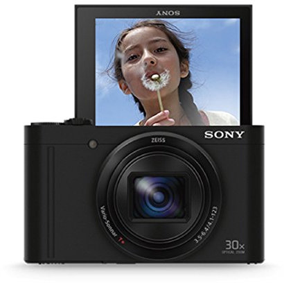 Sony DSC-WX500 Digital Compact High Zoom Travel Camera with 180 Degrees Tiltable LCD Screen (18.2 MP, 30 x Optical Zoom, Wi-Fi, NFC) - Black