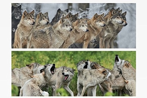 1x 3D Lesezeichen Wölfe 15x5cm Tiere Wackelbild Wackelkarte Buchzeichen Bookmark Bücher Buch Wolf