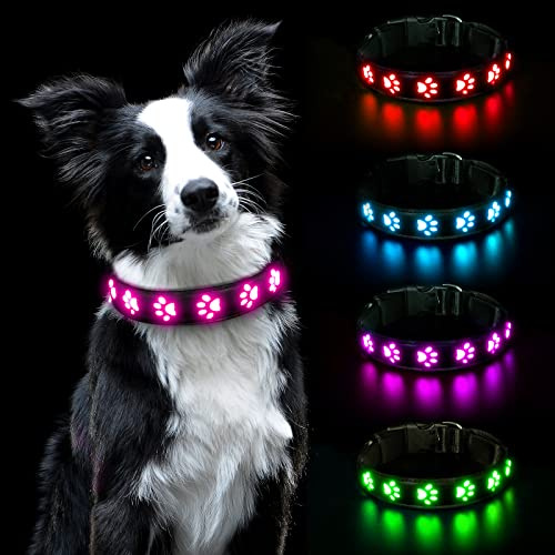 AUAUY LED Hundehalsband Leuchtend, Wasserdichtes, 3 Beleuchtungsmodi Rosa-L | Einstellbar Sicherheit Kragen, Hunde Halsband, USB Wiederaufladbar, Wasserdichtes, für Kleine Mittlere Große Haustier