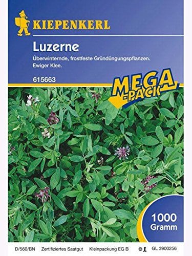 Luzerne Gründünger lose per kg