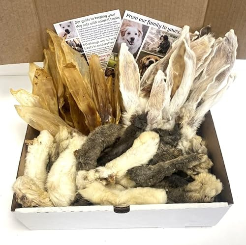 Maltbys' Stores Bunny Box Dog Treat Box (700g) [LSP] | Variety of Premium Rabbit Treats for Rewarding, Entertaining & Treating Your Dog