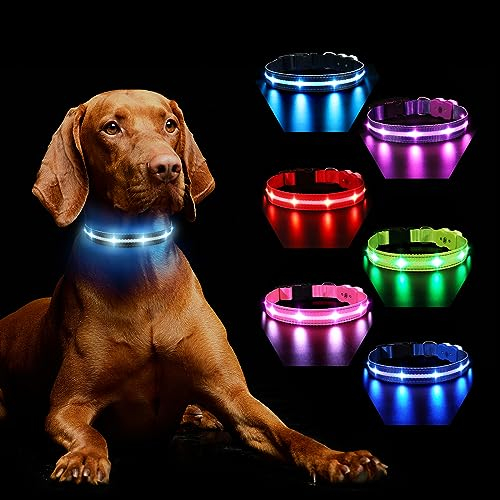 MASBRILL Hundehalsband Leuchtend Aufladbar, Hund 7 RGB Farbwechsel mit 8 Leuchtmodi, Verstellbare LED HundeHalsband Wasserdicht für Kleine Mittlere Große Hunde Leuchtendes Halsband, Schwarz M