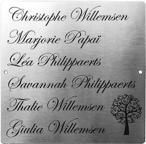 GUIZZO Creart - Numero Civico Esterno in Acciaio Inox, Targa Personalizzata con Numeri Civici Esterni, Via e/o Famiglia e Nomi Made in Italy, Personalizzata Porta Ingresso Esterno, 15x15H cm