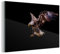 MuchoWow Glasbild Glasfoto Wandbild Bilder Deko 150x100 cm Adler - Vogel - Federn