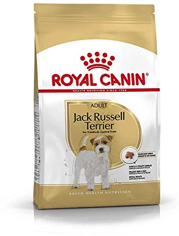 ROYAL CANIN Jack Russell Terrier Adult | 3 kg | Croquettes spécialement conçues pour Les Jack Russell Terriers Adultes et âgés - à partir du 10e Mois | pour Le Maintien de la Masse Musculaire