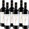 Primitivo | Notte Rossa | Vino Rosso Salento | Puglia | 6 Bottiglie 75cl | Idea Regalo