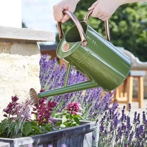 Garden Mile Riego verde salvia 4.5L acero al aire libre interior plantas de agua fronteras de césped, macetas de patio, cestas ligeras de mano con rosa de riego