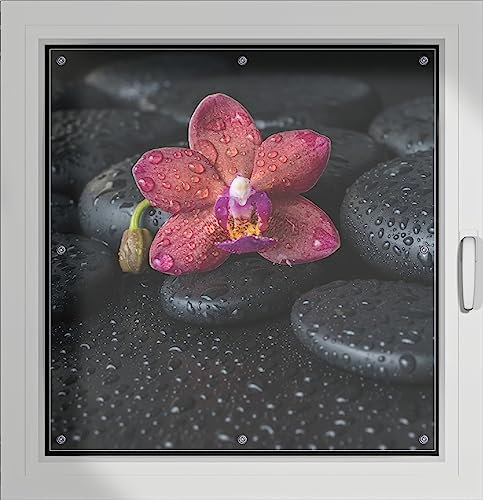 Wallario Lichtschutzbild, Dekorativer Sichtschutz Sonnenschutz 96 x 100 cm mit Motiv: Orchideen-Blüte auf schwarzen Steinen, benetzt mit Wasser-Tropfen - Verdunklungsrollo ohne Bohren