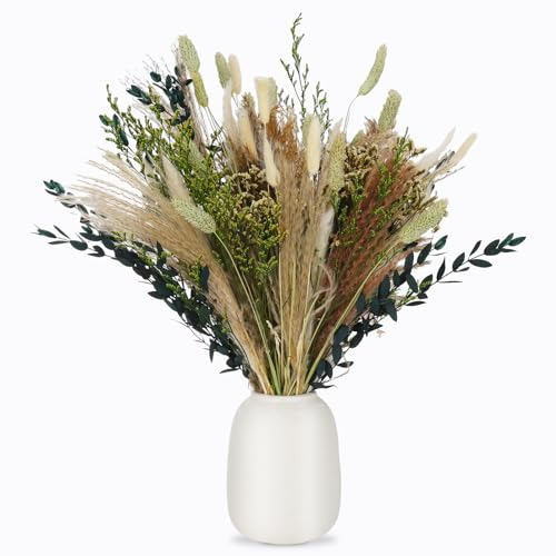 RosewineC Lot de 60 fleurs sécher - Herbe de la pampa naturelle sécher - Bouquet de pampas - Décoration bohème pour salon, maison, mariage, vases - Décoration de table (vert)