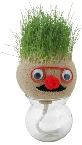 Pflanzen Gras-Puppenkopf – Garten-Blumentopf-Tasche, Graskopf-Haar-Wachstumsspielzeug | Eingetopfte wachsende Bonsai-Köpfe, kleine Topfornamente mit Kultivierungsmedium, Pflanzengartenspielzeug, Gesch