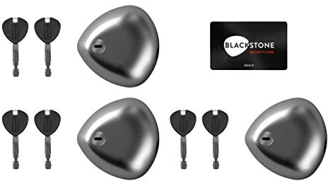 3 Stück Automatische Sicherheitsschlösser Daken Blackstone Combo, gleichschließend aus Edelstahl für Transporter für Hecktür und Seitentür in Silber, Edelstahlhaus