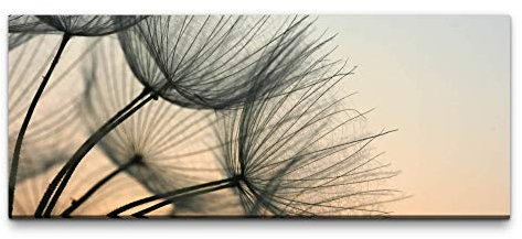 Eau Zone Wandbild Pusteblumen 100x40cm