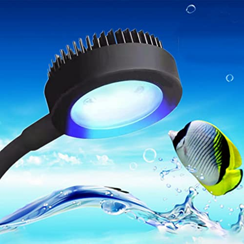 BigTron Full Spectrum Aquarium Light, Small Clip Light for Fish Tank with 2 Blue 10 White LED, 5W Brightness, for 3-5mm Thick (Black)