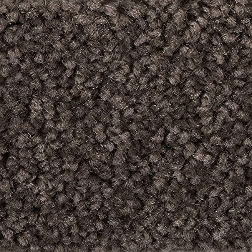 Auslegware Teppich Meterware braun in 400 cm und 500 cm Breite mit Textilrücken Kräuselvelours Teppichboden weich ideal für Wohnzimmer (5 m x 3 m)