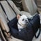 Hunde Autositz Stabiler Leicht Hundesitz: Airbag Auto Hundehütte Hundeautositz Tragbar Abnehmbar Hundeautobett für Kleine Hunde Haustiere Automatte (Black, 49 * 42 * 30cm)