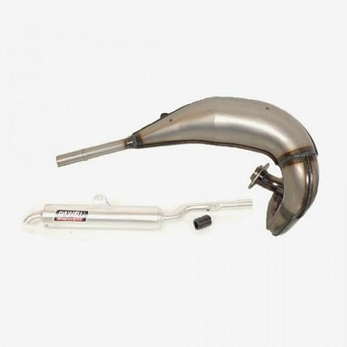 Pot d échappement GIANNELLI compatible avec Moto Yamaha 125 TDR 1993 à 2003 54920/54921