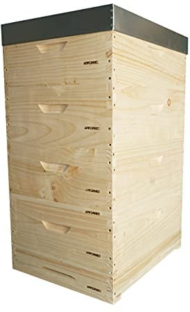 APIFORMES Langstroth 2/3 Farrar Holzbeute Komplett – Weymouthskiefer Massivholz Imkereibedarf